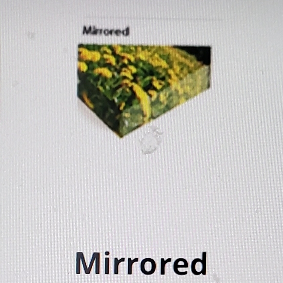 Canvas Wrapped Giclee, Original Print, " Between the Two of Us" #2 - Picture 3 of 4